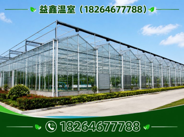 安丘市无土栽培大棚展示图