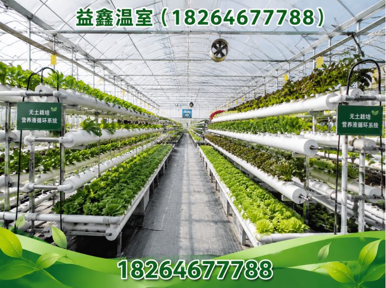 安丘市智能温室大棚展示图